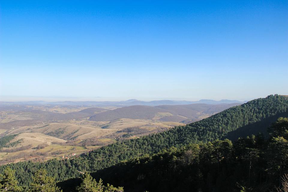 Zlatibor – planina svetlosti